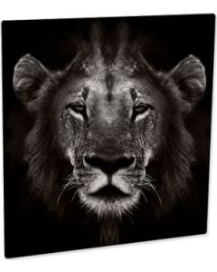 Panel blanco mate 150 X 150 MM para sublimar