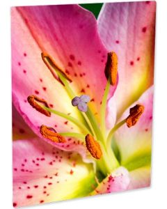 Panel Chromaluxe aluminio blanco brillo 30,3x45,6 cm. (4131)