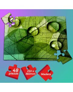 PUZZLE DE MADERA 48 PIEZAS (250X360 MM)